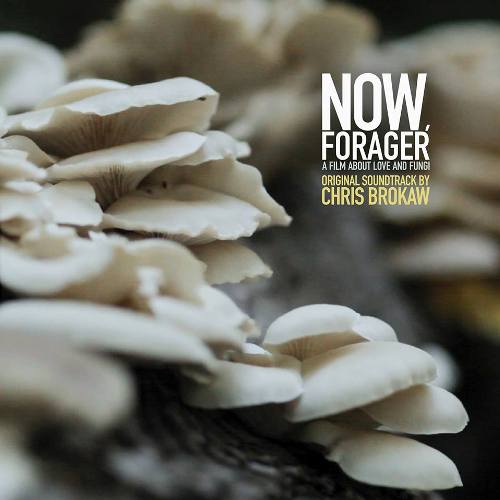 2014-0322-Now-Forager-500.jpg
